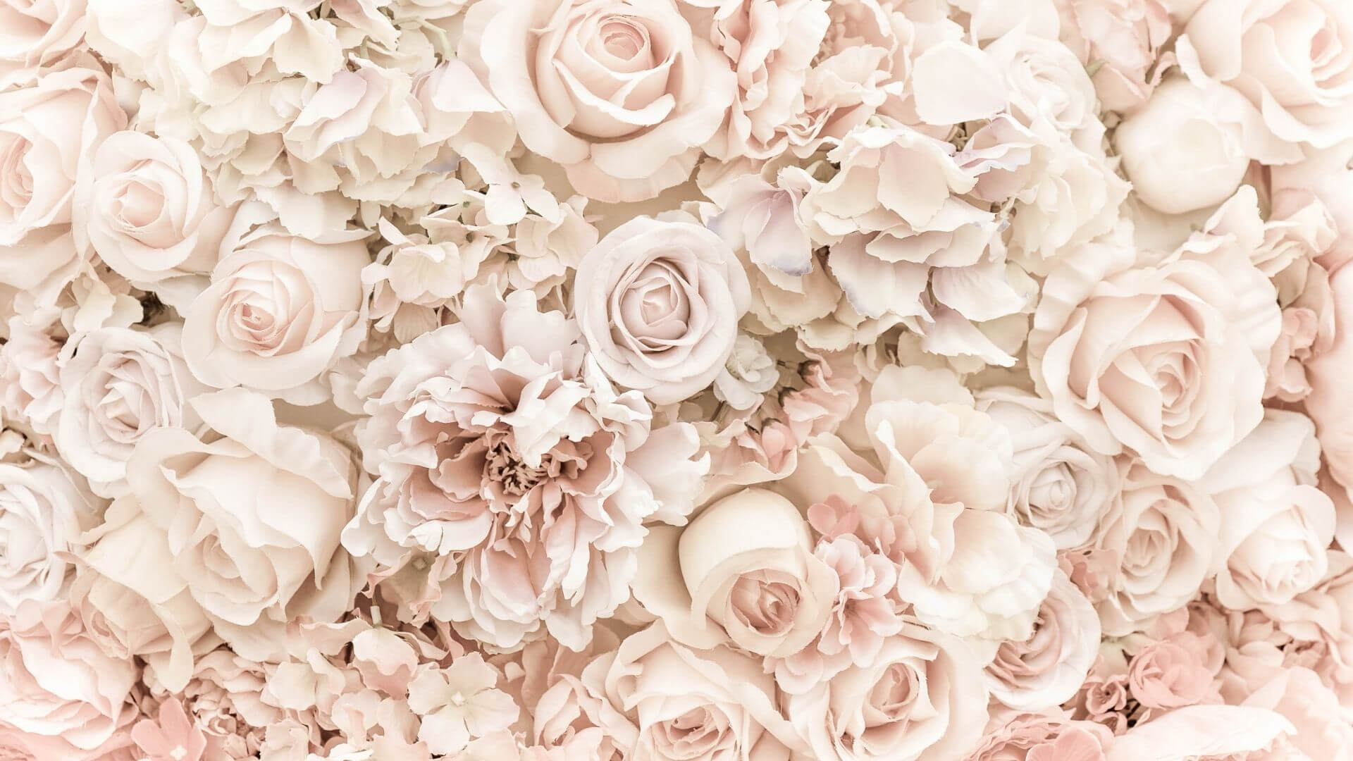 Featured image for “Resilience is built with every step you take.”